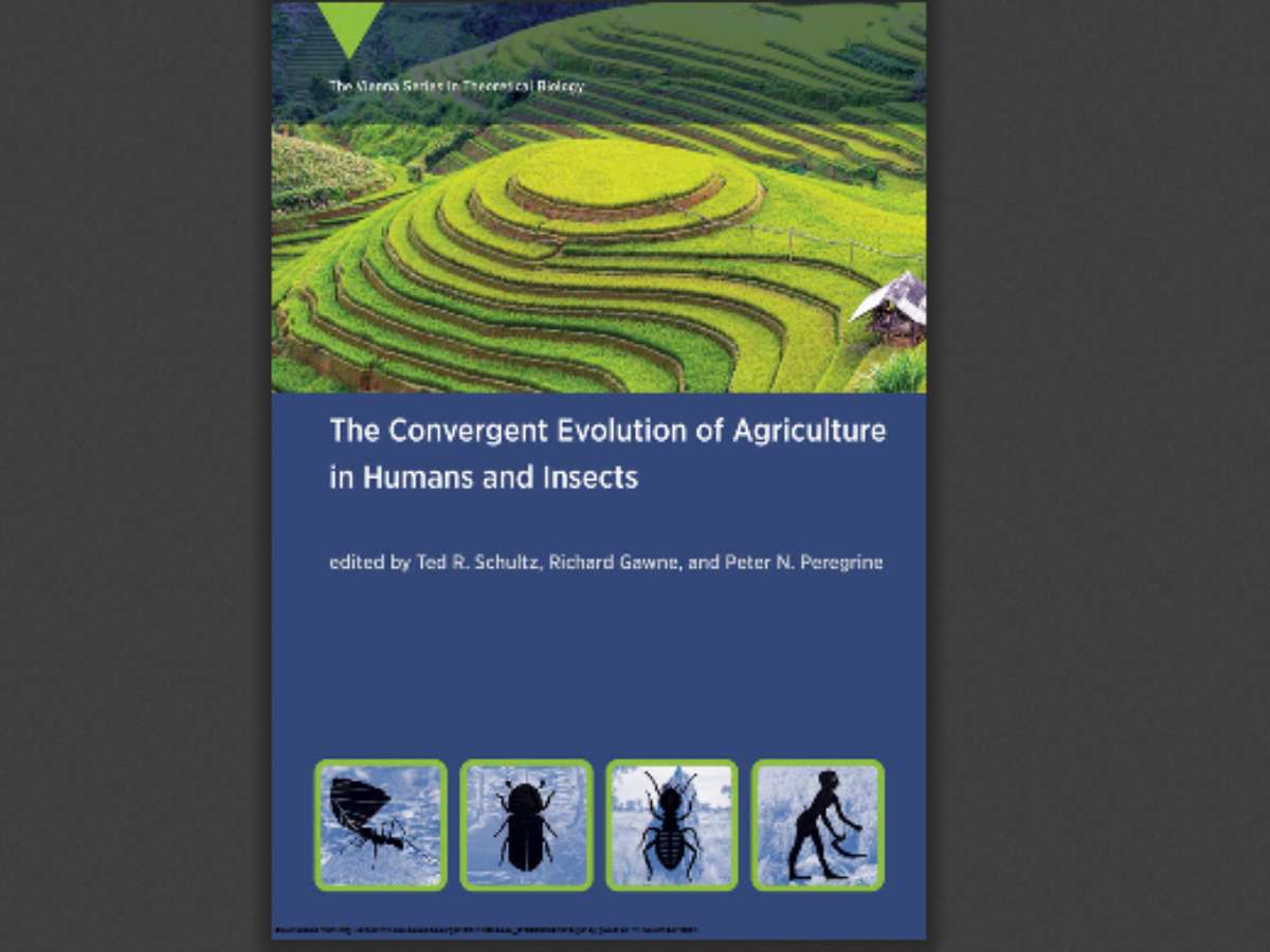 The Convergent Evolution of Agriculture in Humans and Insects