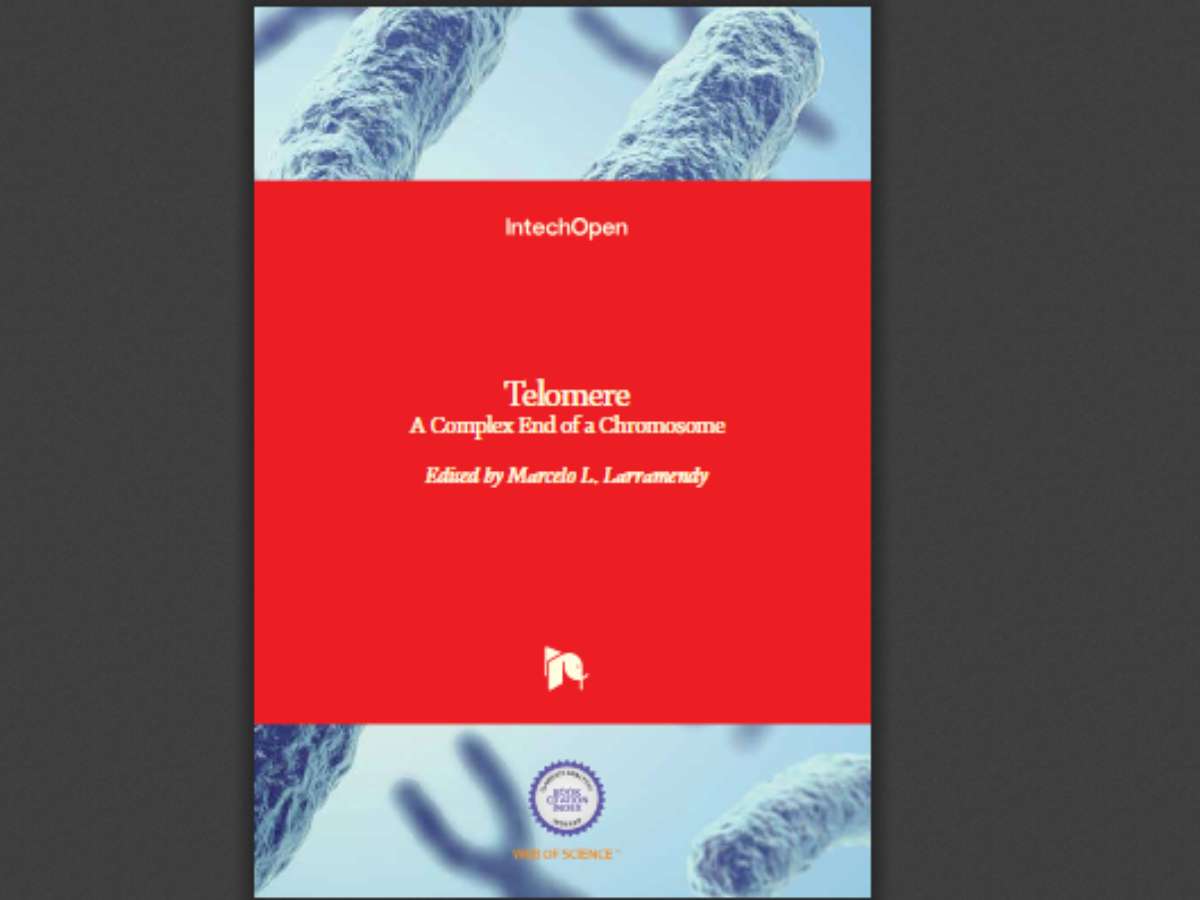 Telomere: A Complex End of a Chromosome