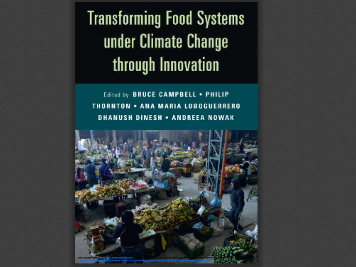 Transforming Food Systems Under Climate Change through Innovation