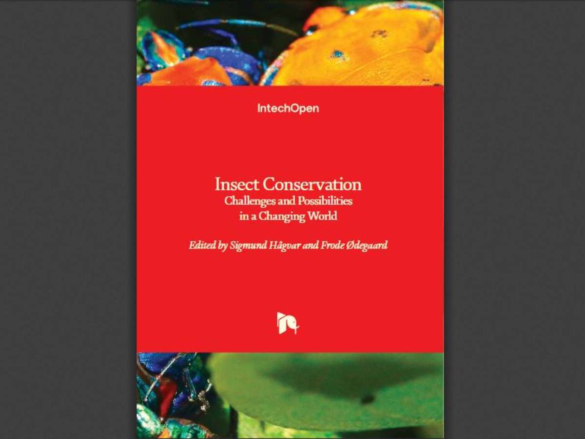 Insect Conservation: Challenges and Possibilities in a Changing World