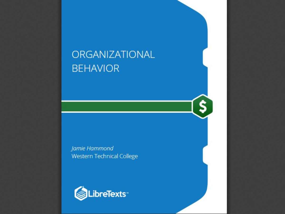 Organizational Behavior
