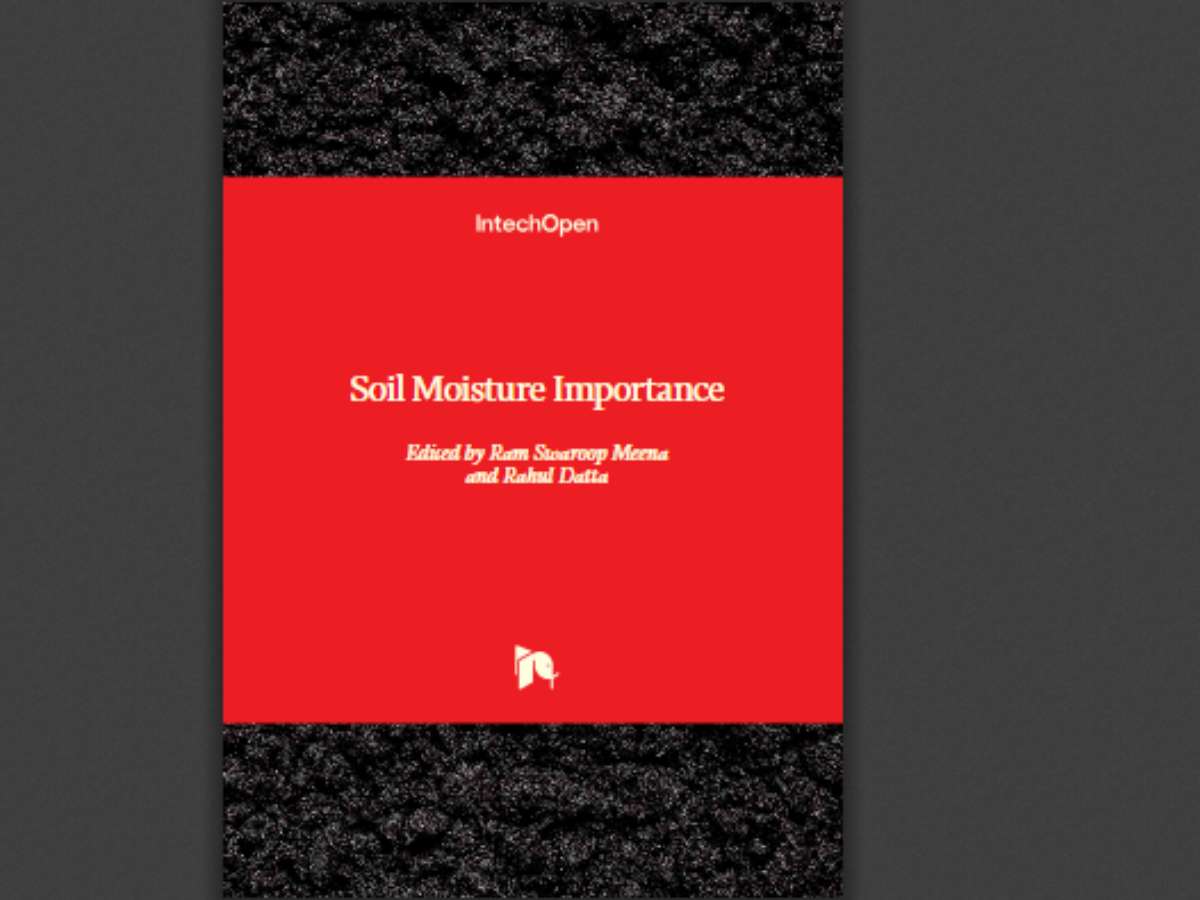 Soil Moisture Importance