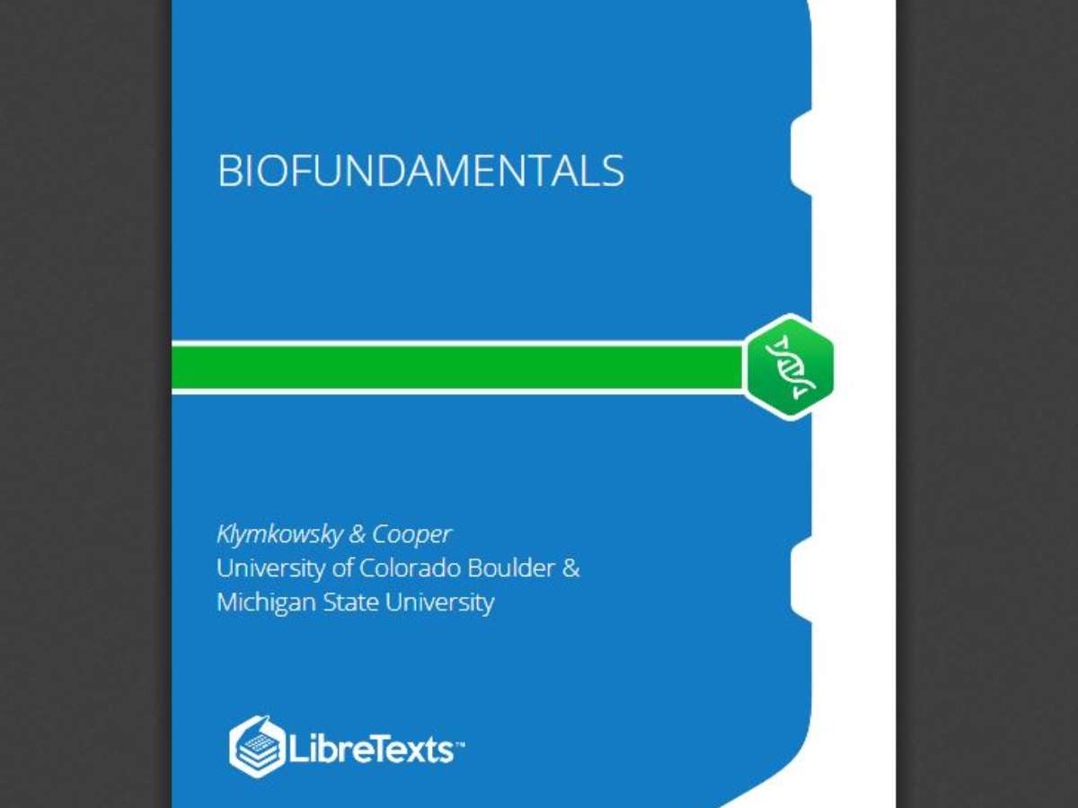 Biofundamentals