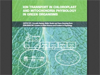 Ion Transport in Chloroplast and Mitochondria Physiology in Green Organisms