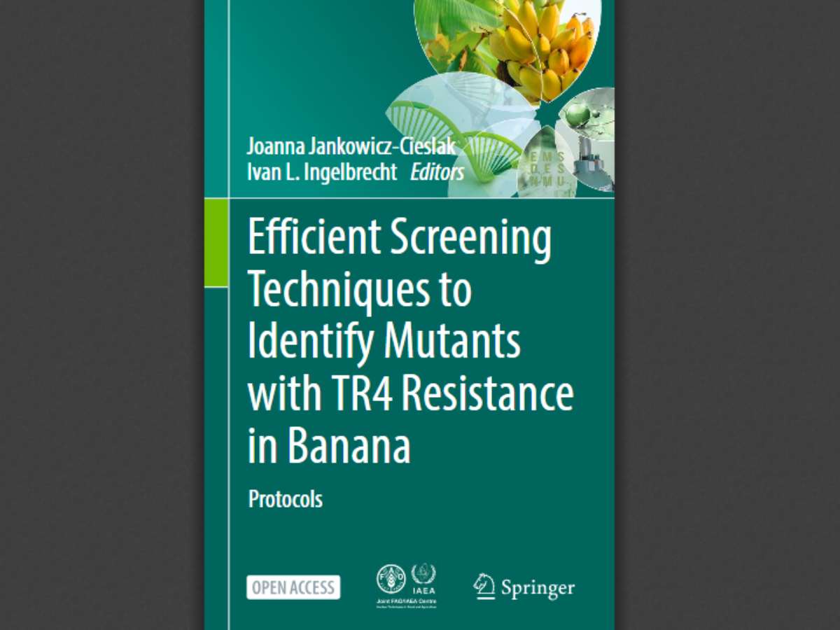 Efficient Screening Techniques to Identify Mutants with TR4 Resistance in Banana: Protocols