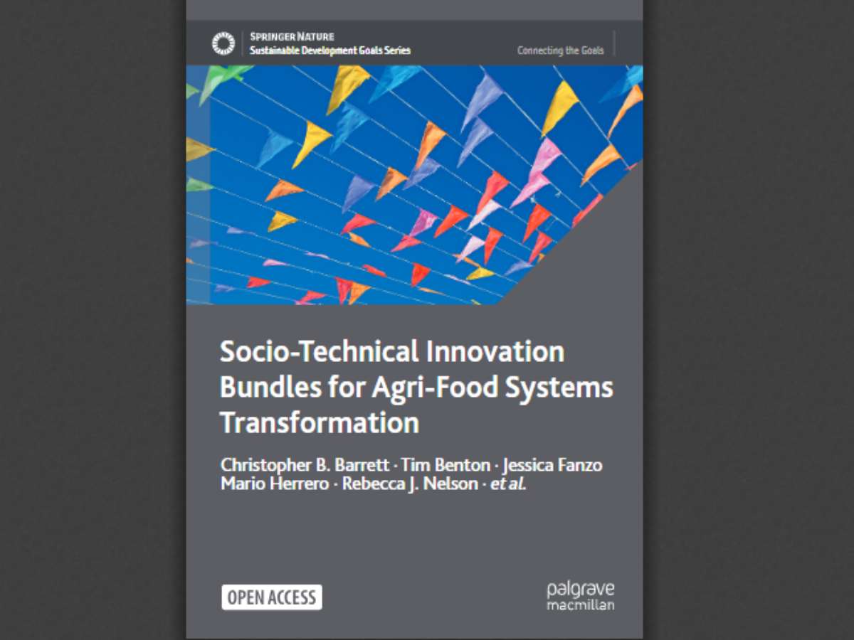 Socio-Technical Innovation Bundles for Agri-Food Systems Transformation