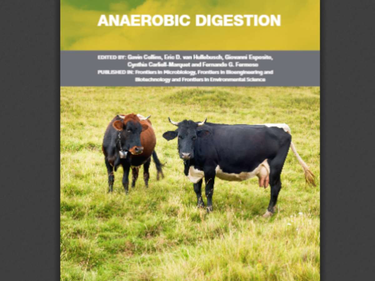 Anaerobic Digestion