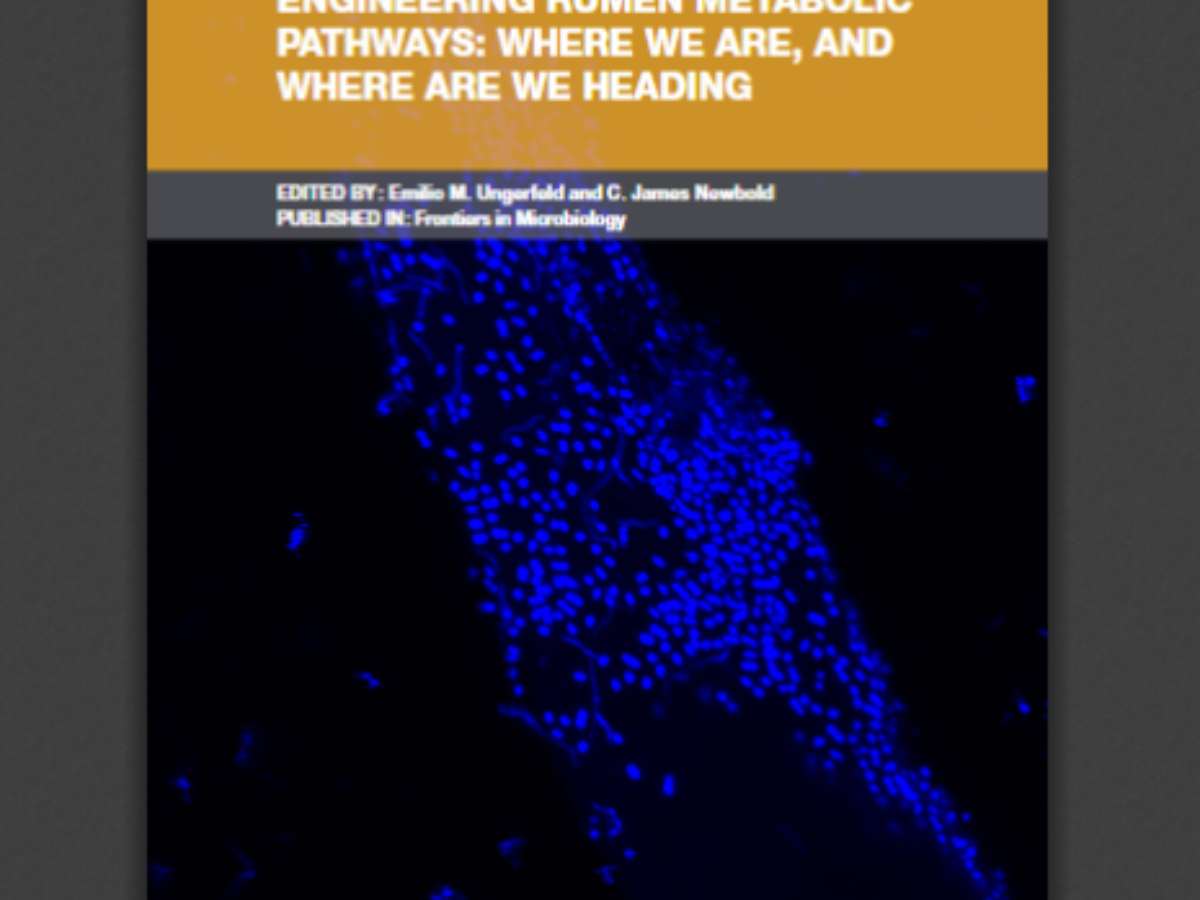 Engineering Rumen Metabolic Pathways: Where We Are, and Where Are We Heading