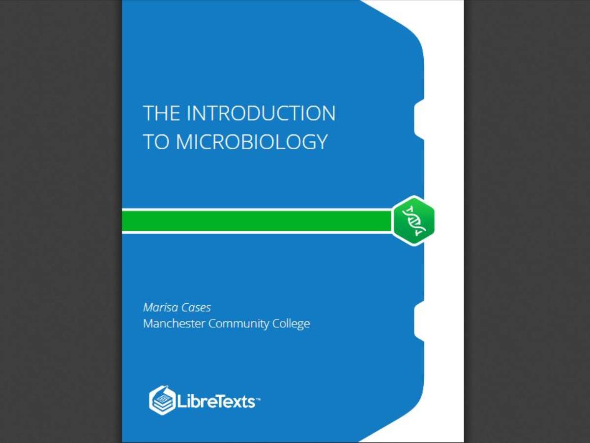 The Introduction to Microbiology