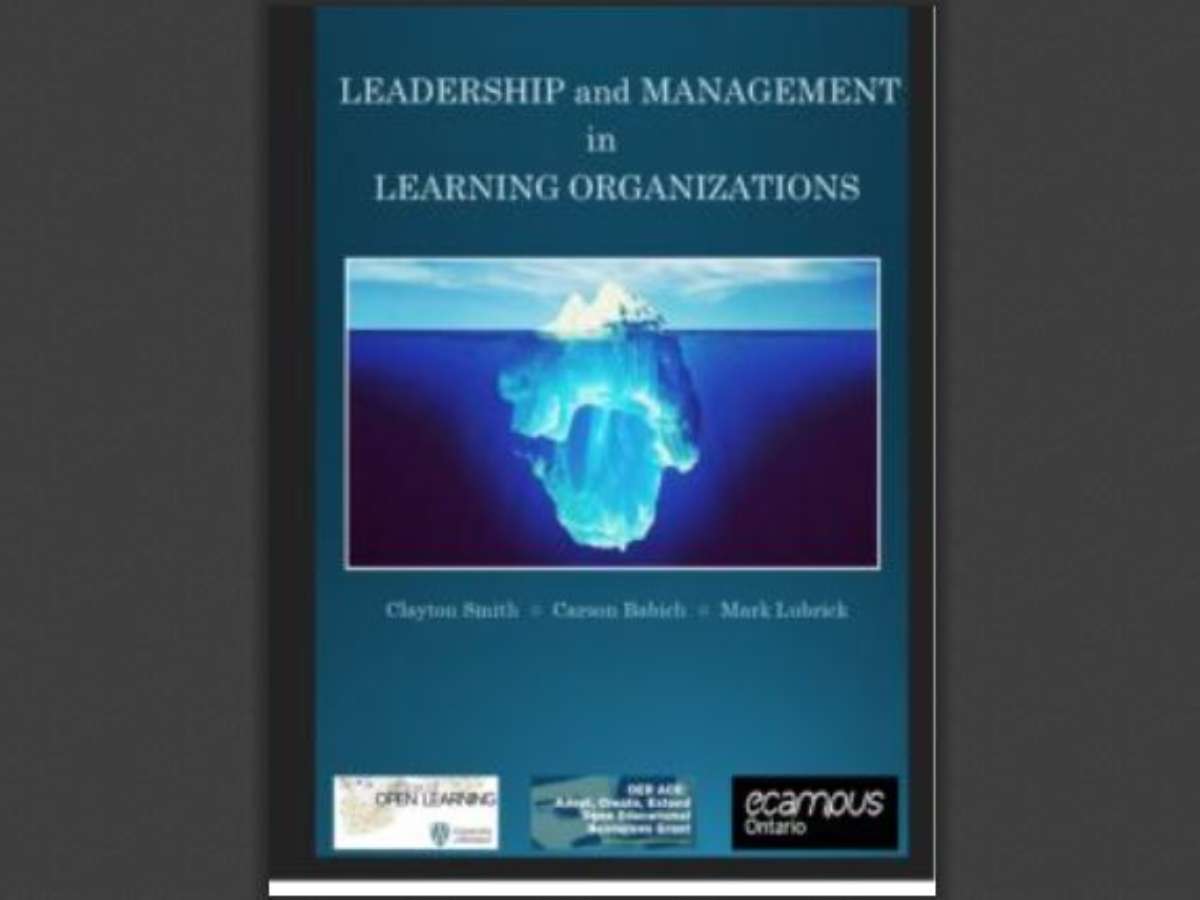 Leadership and Management in Learning Organizations