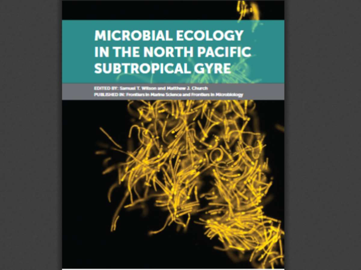 Microbial Ecology in the North Pacific Subtropical Gyre