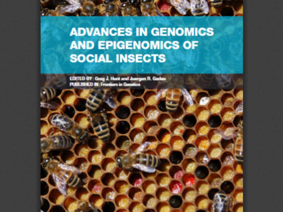 Advances in Genomics and Epigenomics of Social Insects