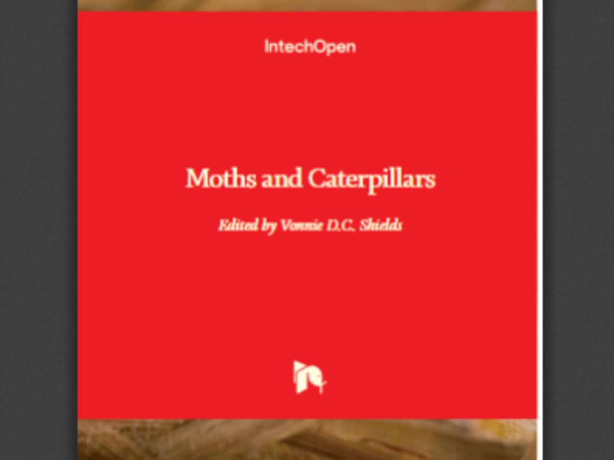 Moths and Caterpillars