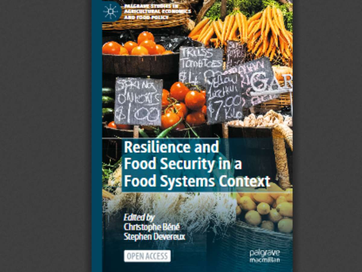 Resilience and Food Security in a Food Systems Context