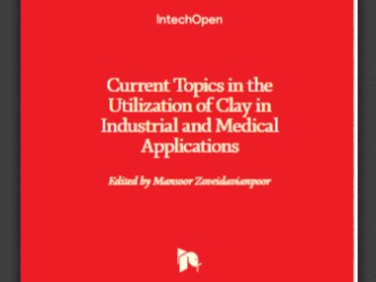 Current Topics in the Utilization of Clay in Industrial and Medical Applications