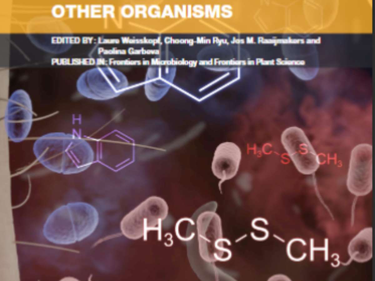 Smelly Fumes: Volatile-Mediated Communication between Bacteria and Other Organisms