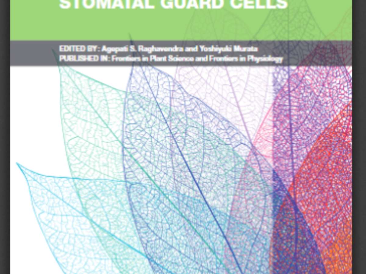 Signal Transduction in Stomatal Guard Cells