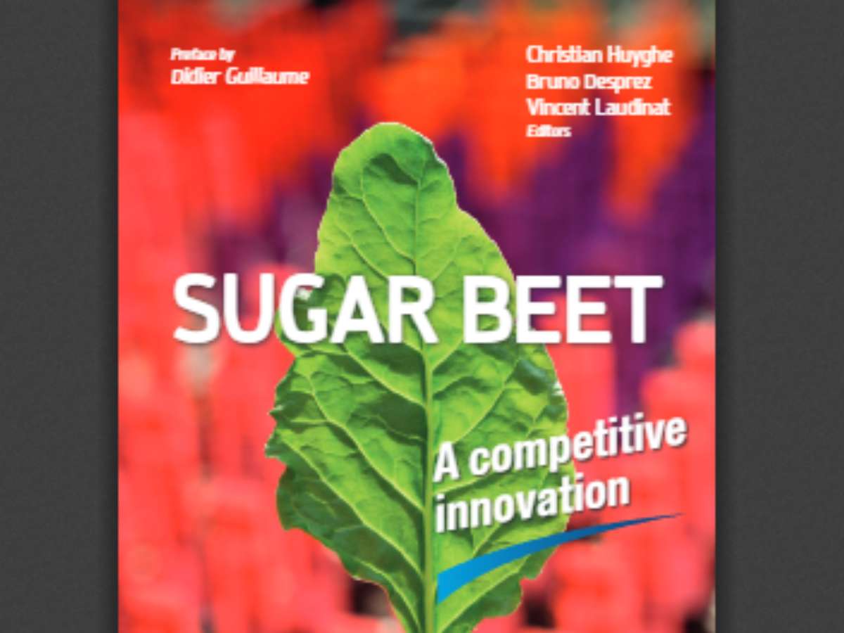 Sugar beet: A competitive innovation