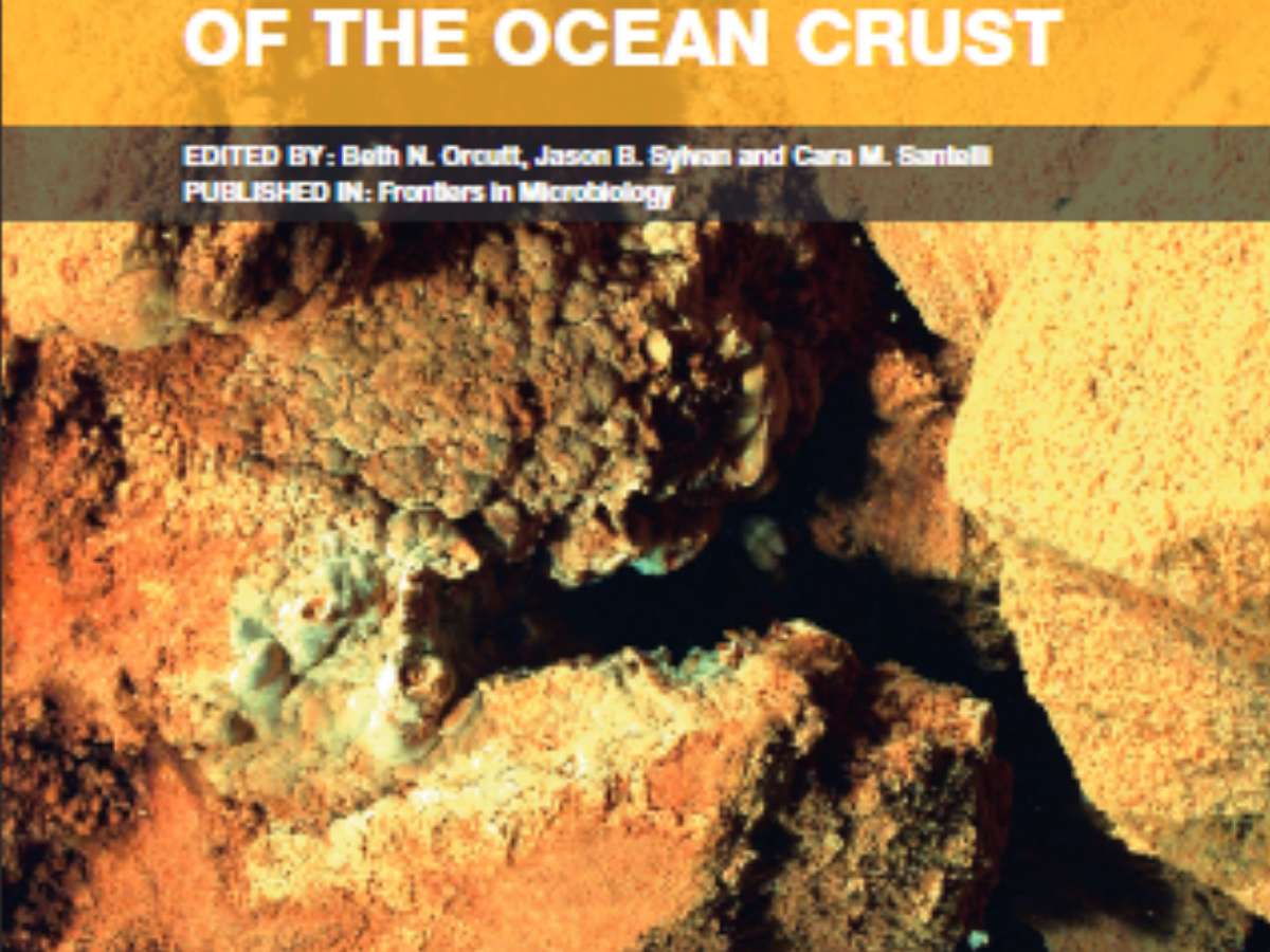 Recent Advances in Geomicrobiology of the Ocean Crust