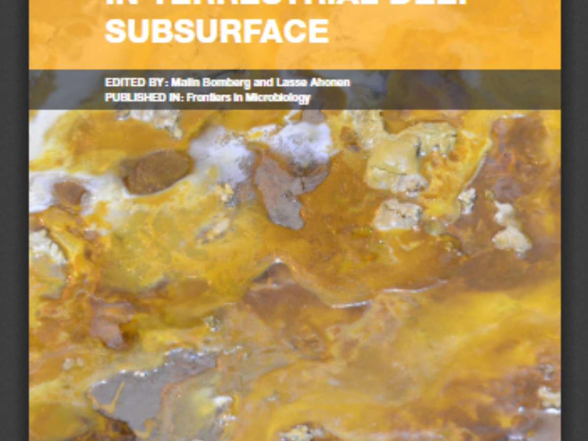 Geomicrobes: Life in Terrestrial Deep Subsurface