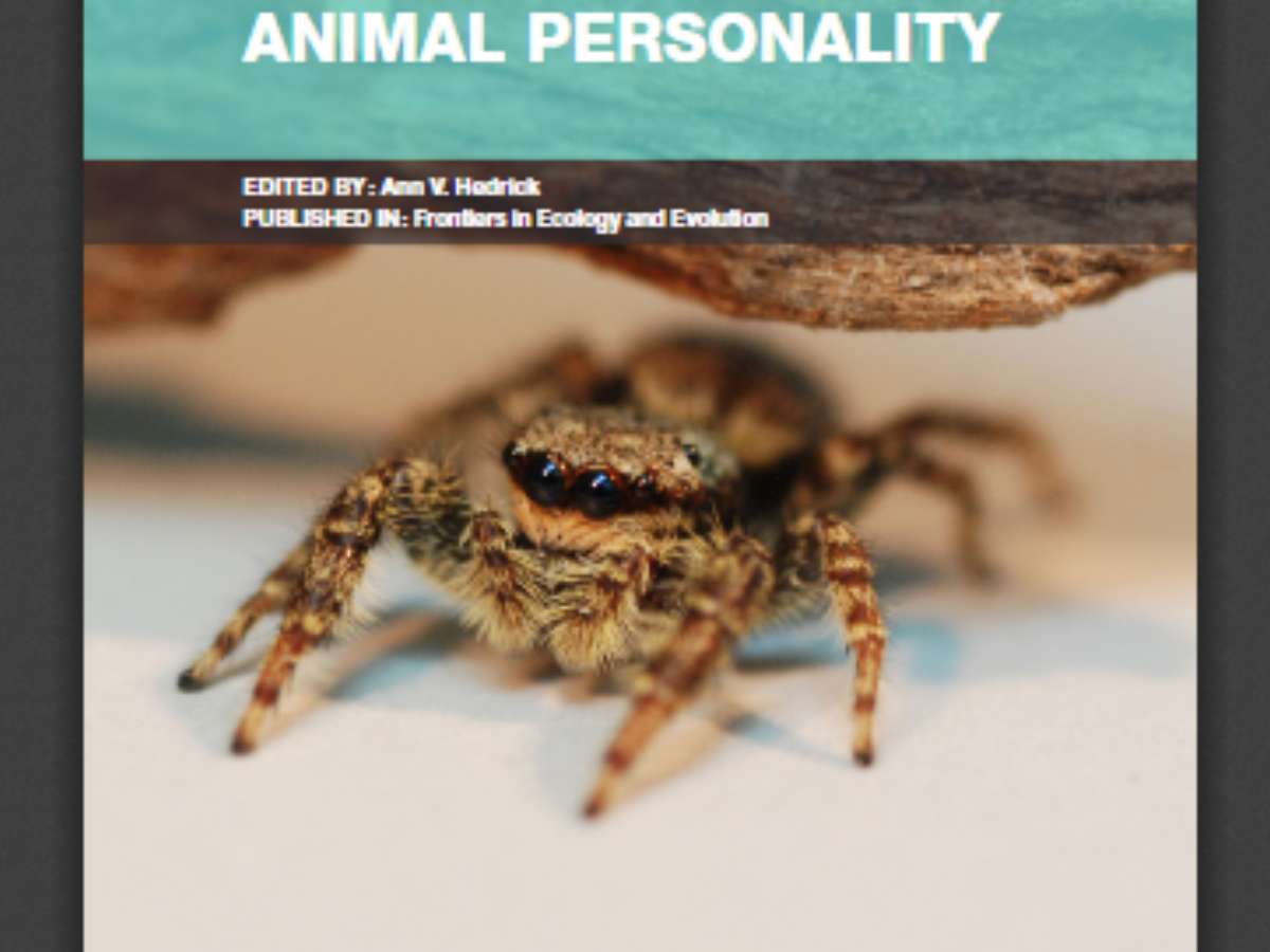 The Development of Animal Personality