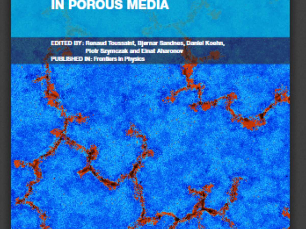 Flow and Transformations in Porous Media