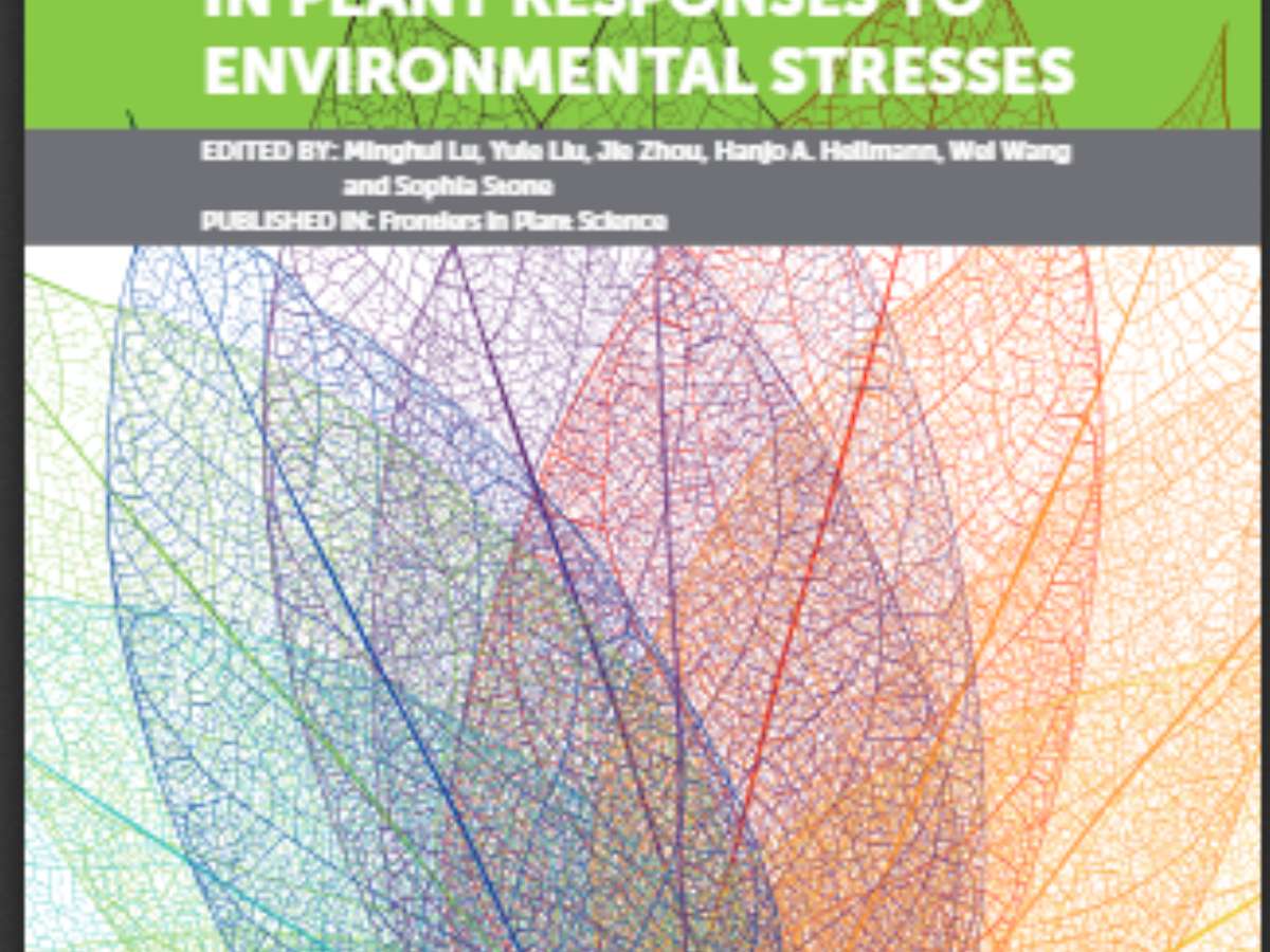 Protein Quality Controlling Systems in Plant Responses to Environmental Stresses