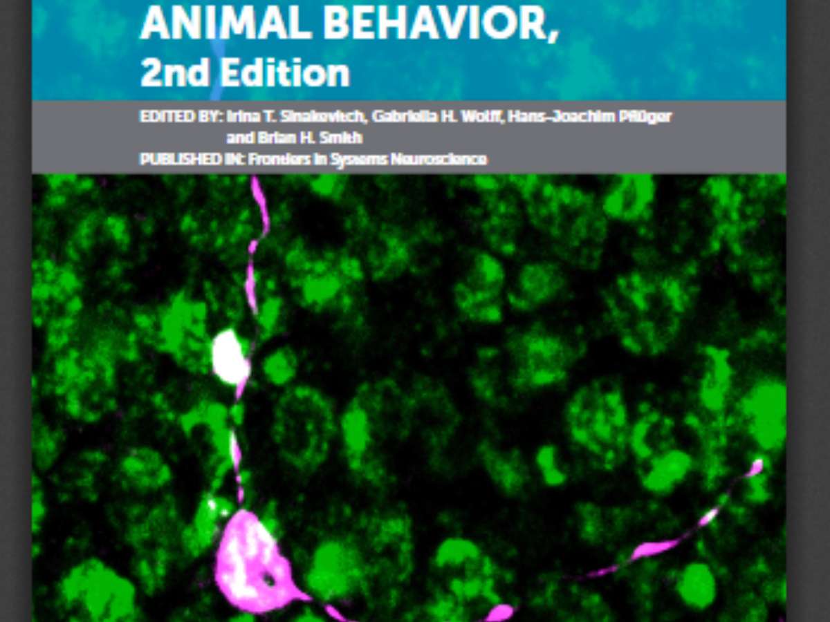 Biogenic Amines and Neuromodulation of Animal Behavior, 2nd Edition
