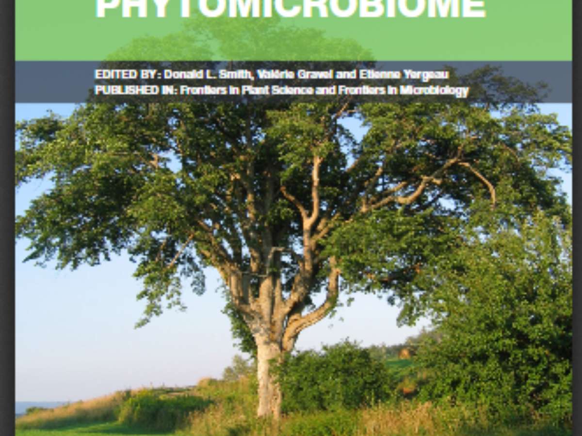 Signaling in the Phytomicrobiome