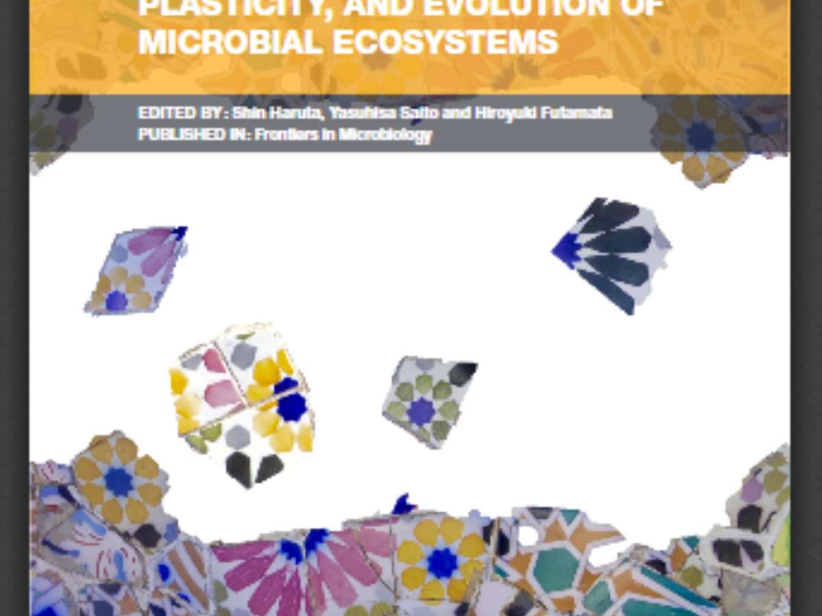 Development of Microbial Ecological Theory: Stability, Plasticity, and Evolution of Microbial Ecosystems