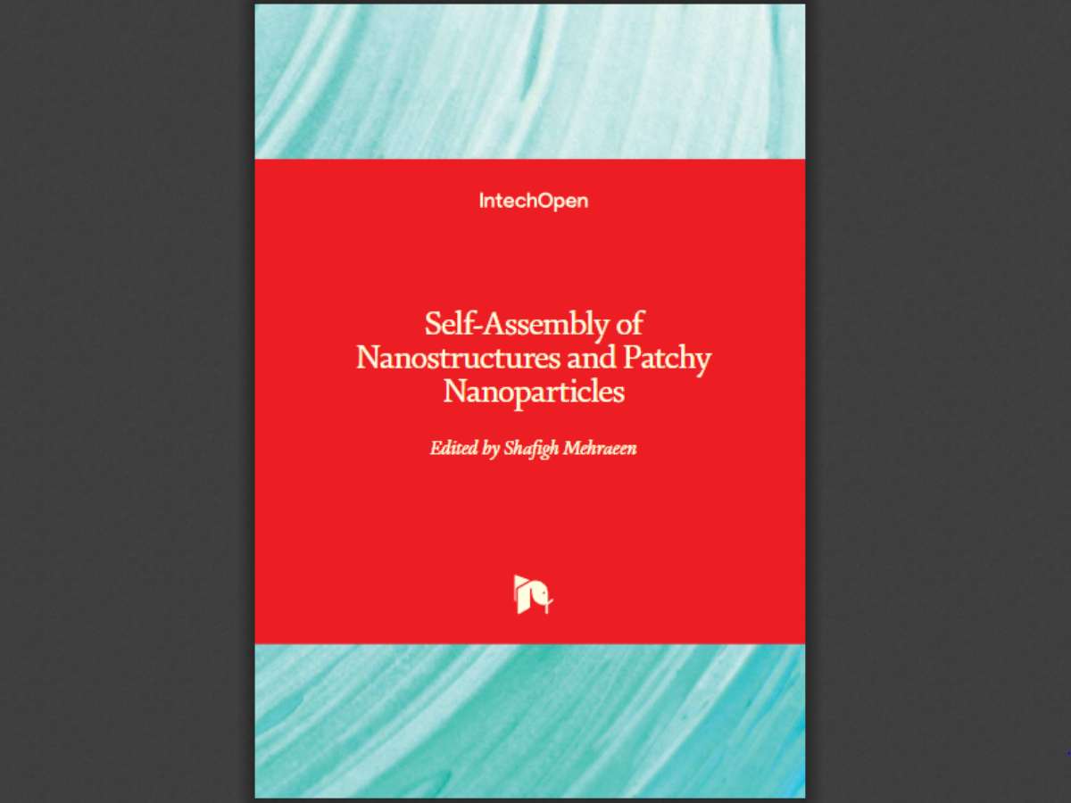 Self-Assembly of Nanostructures and Patchy Nanoparticles