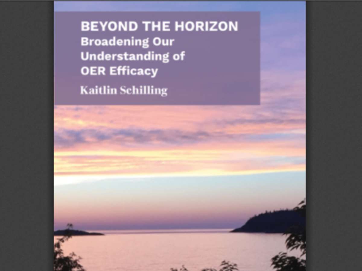 Beyond the Horizon: Broadening Our Understanding of OER Efficacy