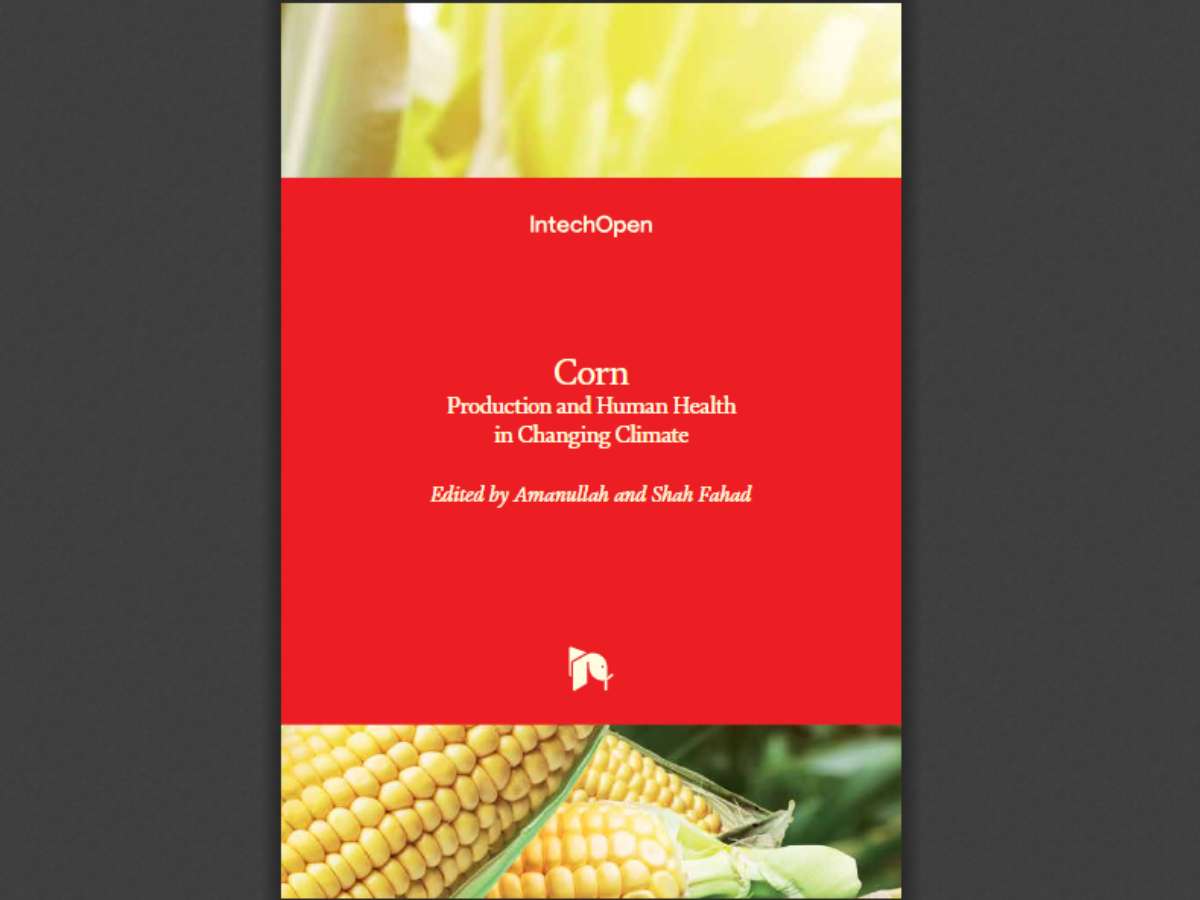 Corn: Production and Human Health in Changing Climate