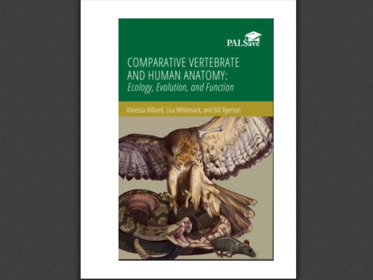 Comparative Vertebrate and Human Anatomy: Ecology, Evolution, and Function