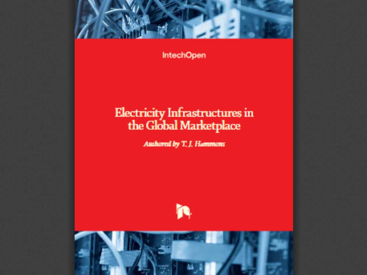 Electricity Infrastructures in the Global Marketplace