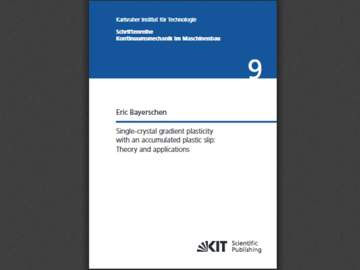 Single-crystal gradient plasticity with an accumulated plastic slip: Theory and applications