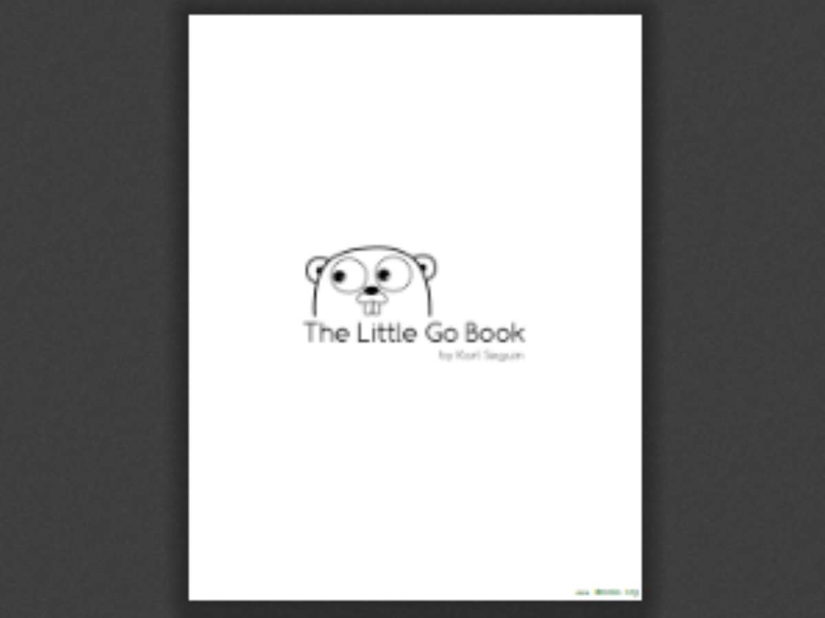 The Little Go Book