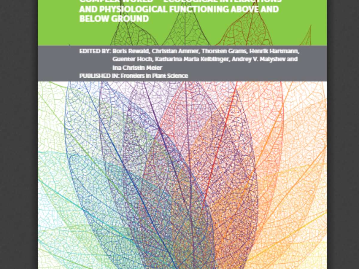 Woody Plants and Forest Ecosystems in a Complex World – Ecological Interactions and Physiological Functioning Above and Below Ground