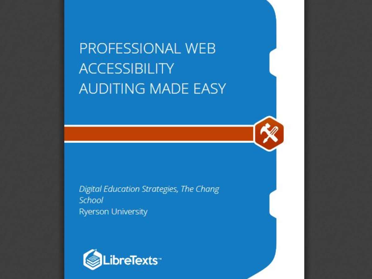 Professional Web Accessibility Auditing Made Easy