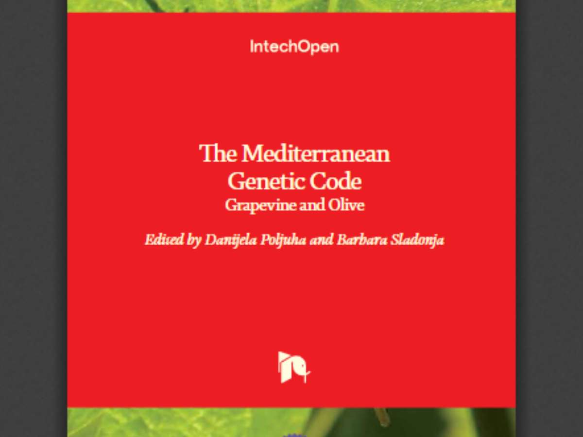 The Mediterranean Genetic Code: Grapevine and Olive
