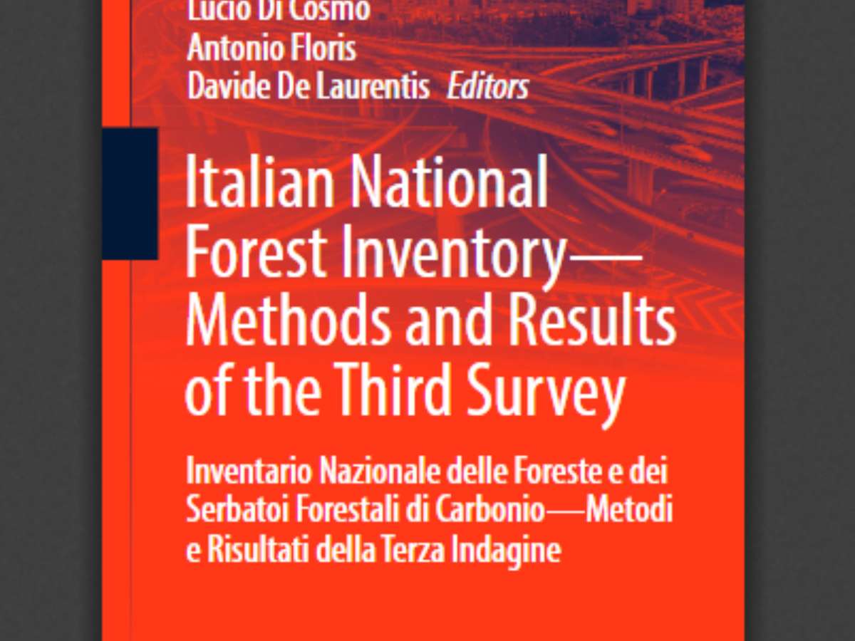Italian National Forest Inventory—Methods and Results of the Third Survey
