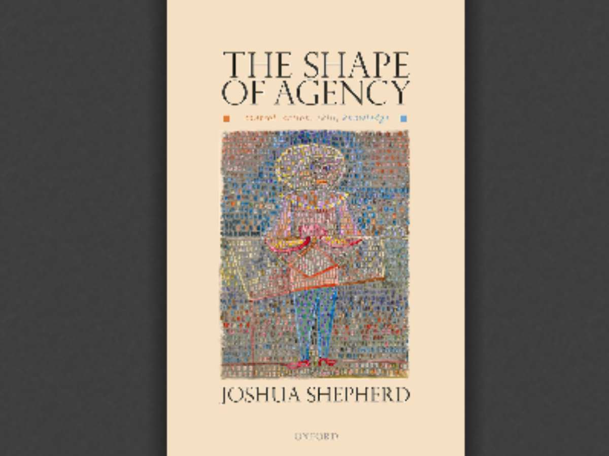 The Shape of Agency: Control, Action, Skill, Knowledge