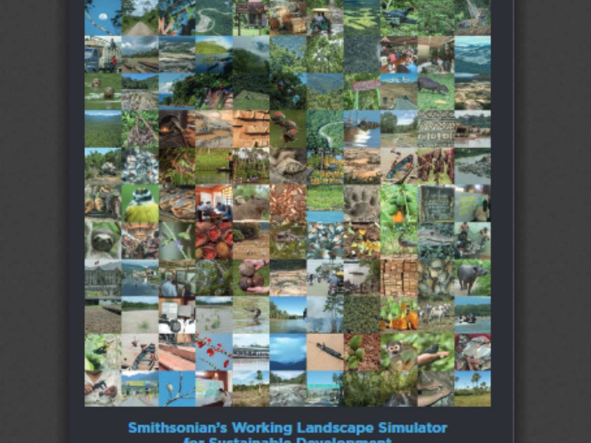 The Future of Madre de Dios: Smithsonian's Working Landscape Simulator for Sustainable Development