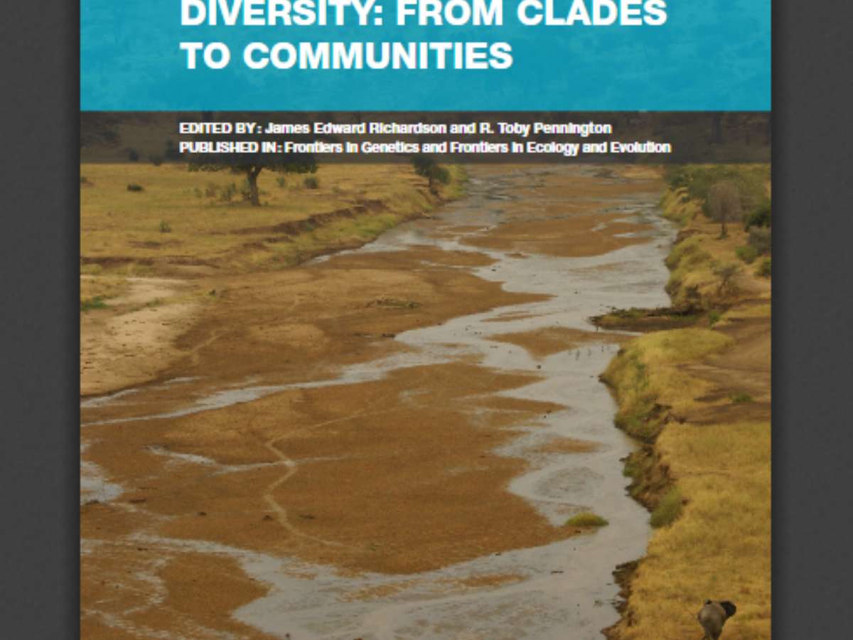Origin of Tropical Diversity: From Clades to Communities