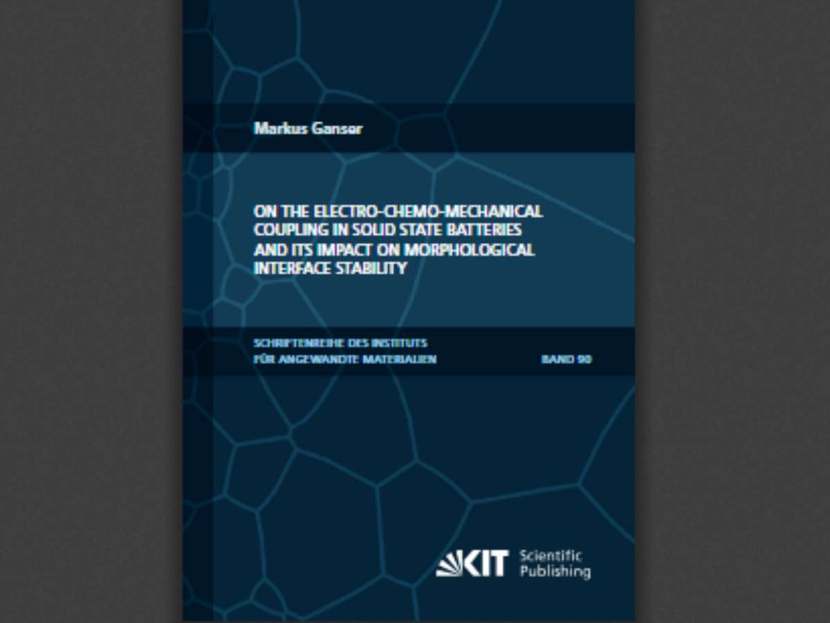 On the Electro-Chemo-Mechanical Coupling in Solid State Batteries and its Impact on Morphological Interface Stability