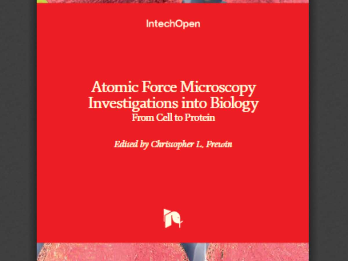 Atomic Force Microscopy Investigations into Biology: From Cell to Protein