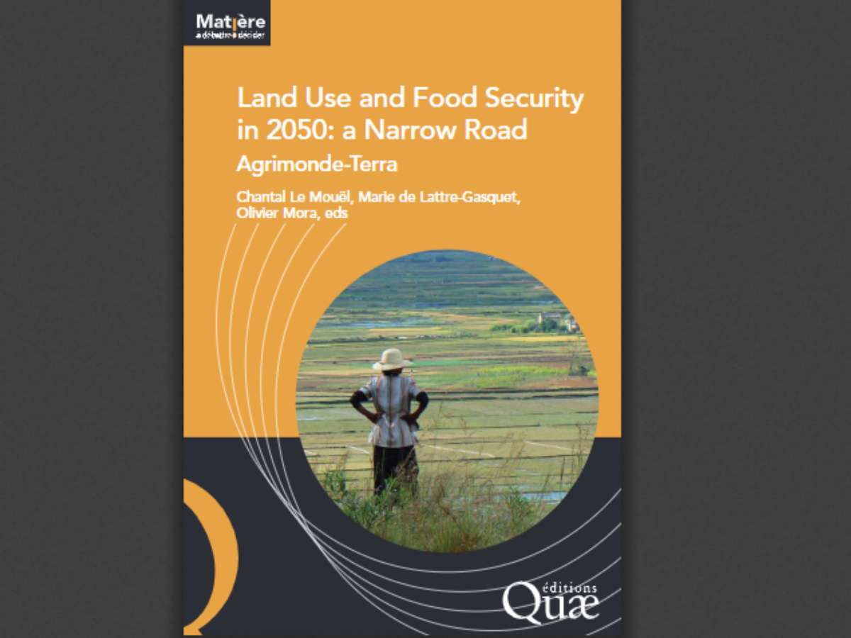 Land Use and Food Security in 2050: a Narrow Road