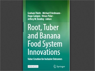 Root, Tuber and Banana Food System Innovations: Value Creation for Inclusive Outcomes