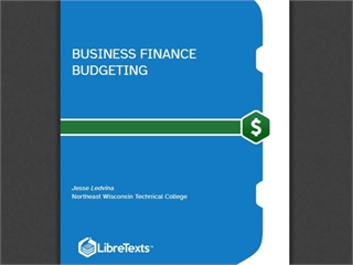Business Finance Budgeting