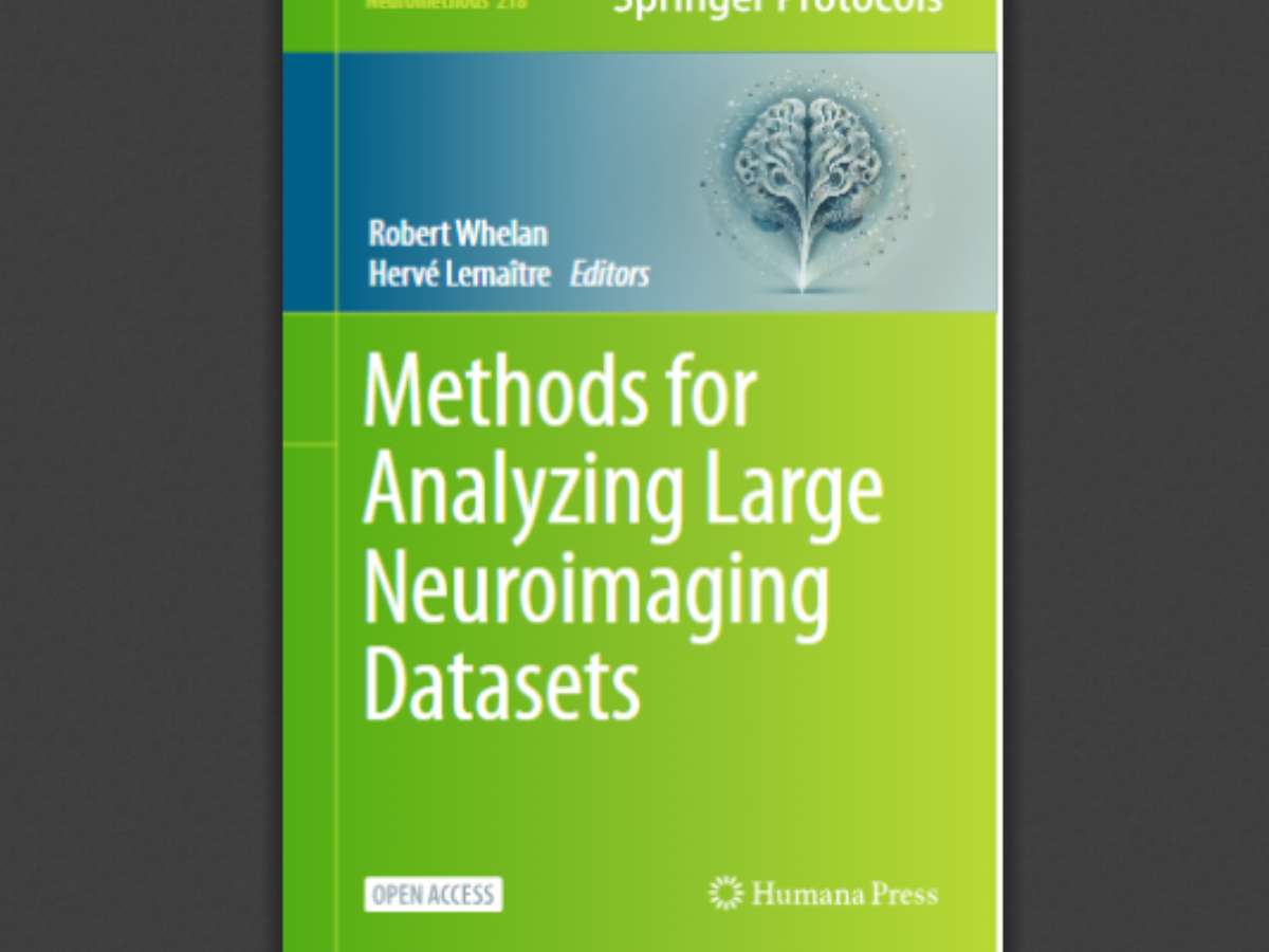 Methods for Analyzing Large Neuroimaging Datasets